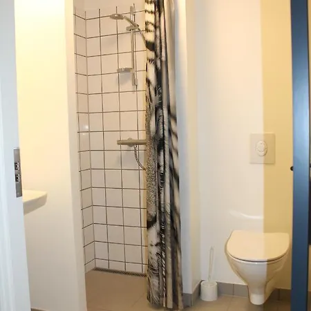 Hostal Ringkobing-skjern Kulturcenter *